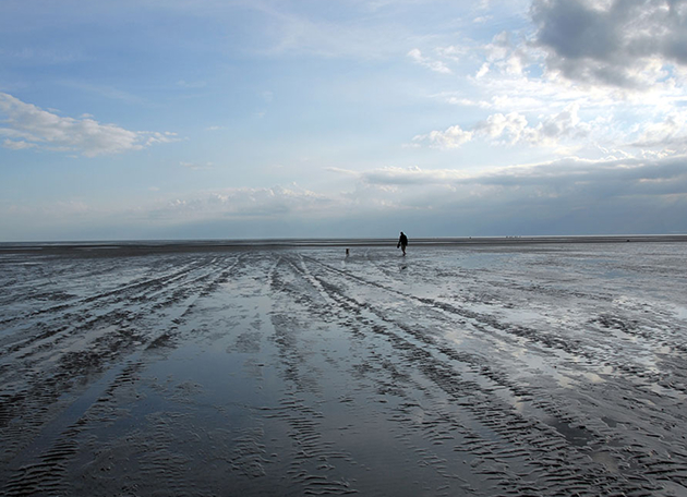arrangement-wind-und-meer